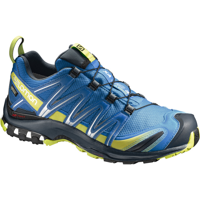 Zapatillas Trail Running Salomon Hombre Azules - Salomon Argentina XA PRO 3D GTX® ,482016-APE